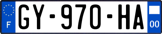 GY-970-HA
