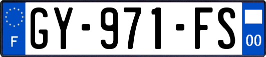 GY-971-FS