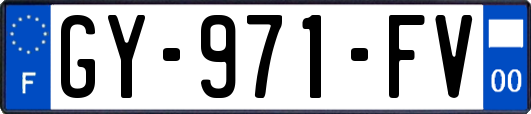 GY-971-FV