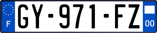 GY-971-FZ