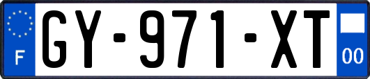 GY-971-XT