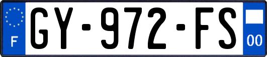 GY-972-FS