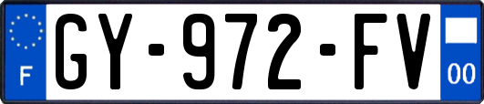 GY-972-FV