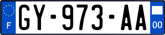 GY-973-AA