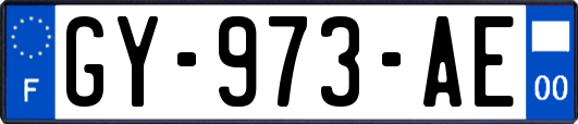 GY-973-AE