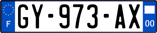 GY-973-AX