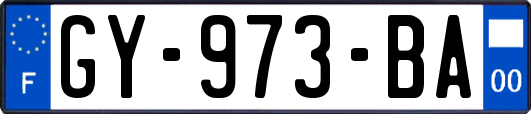 GY-973-BA