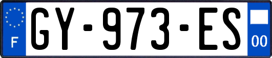 GY-973-ES