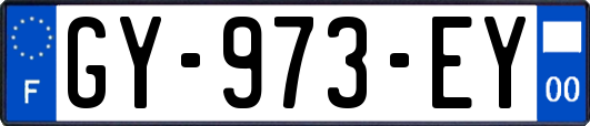 GY-973-EY