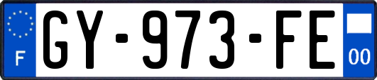 GY-973-FE