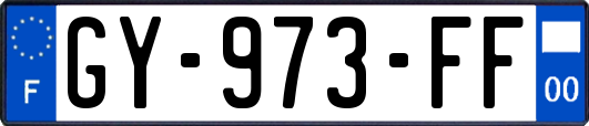 GY-973-FF