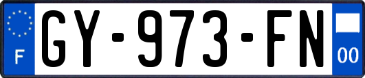 GY-973-FN