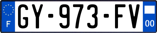 GY-973-FV