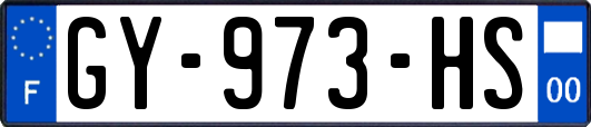 GY-973-HS