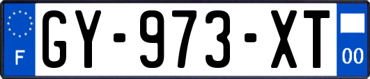 GY-973-XT