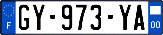 GY-973-YA