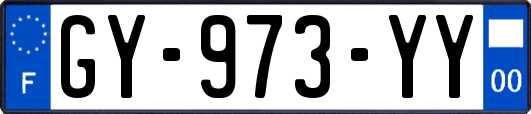 GY-973-YY