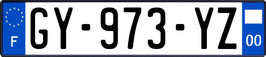 GY-973-YZ