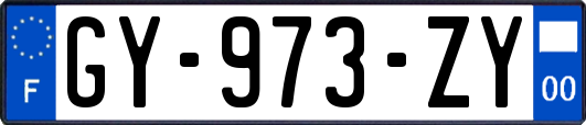 GY-973-ZY