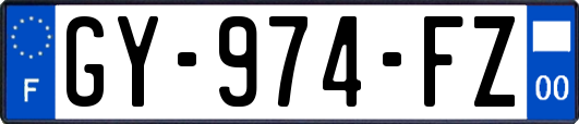 GY-974-FZ