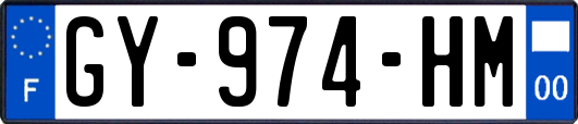 GY-974-HM