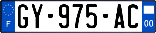 GY-975-AC
