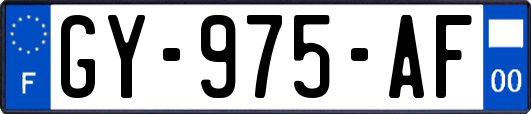 GY-975-AF