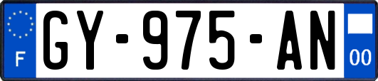 GY-975-AN