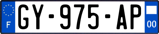 GY-975-AP