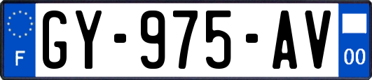 GY-975-AV