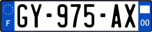 GY-975-AX