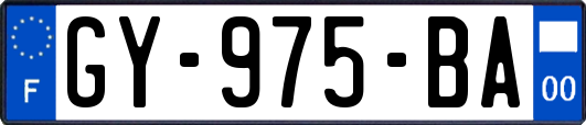 GY-975-BA