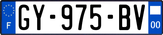 GY-975-BV