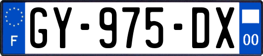 GY-975-DX
