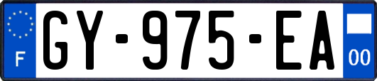 GY-975-EA