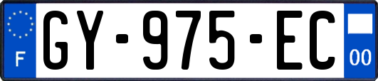 GY-975-EC