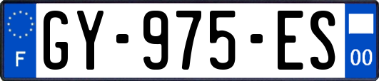 GY-975-ES