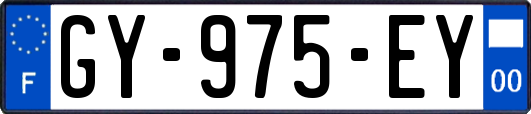 GY-975-EY