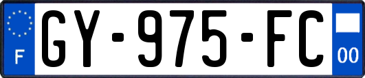 GY-975-FC