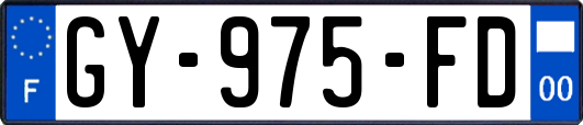 GY-975-FD