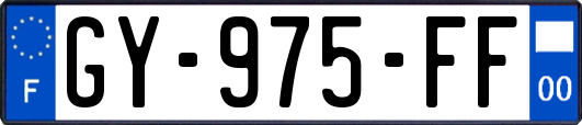 GY-975-FF