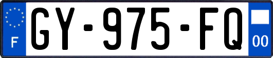 GY-975-FQ