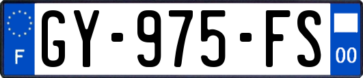 GY-975-FS