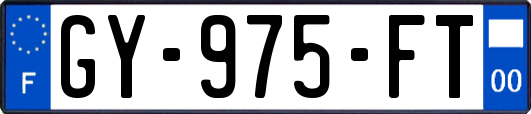 GY-975-FT