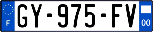 GY-975-FV
