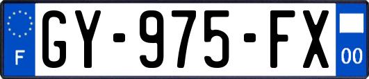 GY-975-FX