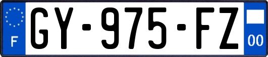 GY-975-FZ