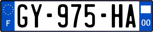 GY-975-HA