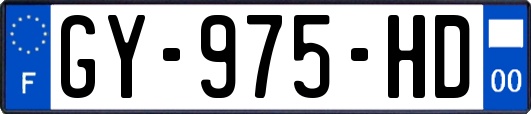 GY-975-HD