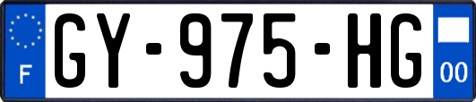 GY-975-HG